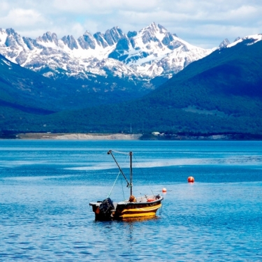 Puerto Almanza y Pingüinera